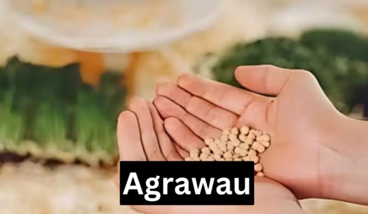 Agrawau: Exploring Its Meaning and Relevance