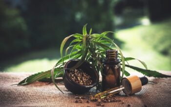 CBD and Cognitive Health: Why Seniors Should Care