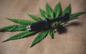 CBD for Pain Relief in Seniors: How It Works